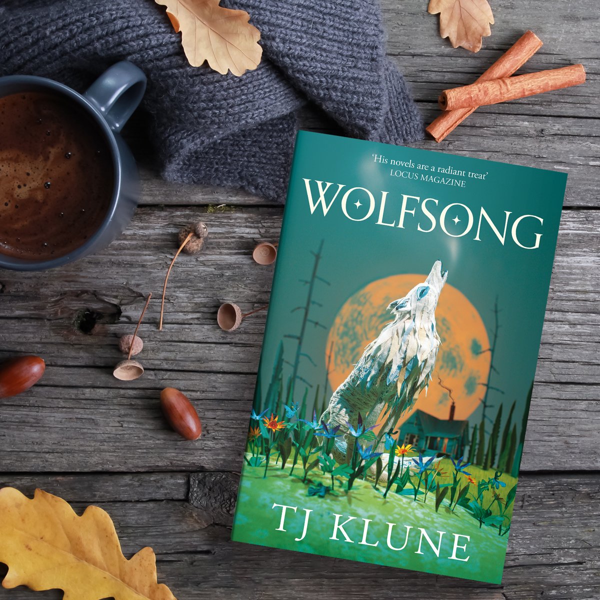 #packpackpack Happy #Wolfsong PB Publication #TJKlune @UKTor @panmacmillan We're sending copies to new readers of Green Creek series, and can't wait for you to meet these awesome queer werewolves! From NYT, USA Today + #1 Sunday Times bestseller panmacmillan.com/authors/tj-klu…