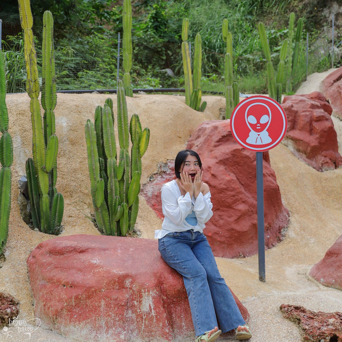 wiang_pai_reuay's tweet image. #คาเฟ่ชลบุรี เปิดวาปสู่ความเวิ้งว้างอันไกลโพ้นนน มิติใหม่ของคาเฟ่สไลต์อวกาศ จำลองดวงดาวทั้ง 3 ได้แก่ Earth 🌍 Moon🌕 Mars🏜 

📍 𝙇𝙊𝙁 𝙇𝘼𝙉𝘿 🛸
@ReviewCafe_TH @Review_Thailand  @ReviewTourThai 

#LOFLAND #แกรนด์แคนยอนชลบุรี #ที่เที่ยวชลบุรี #รีวิวคาเฟ่ #เหวี่ยงไปเรื่อย