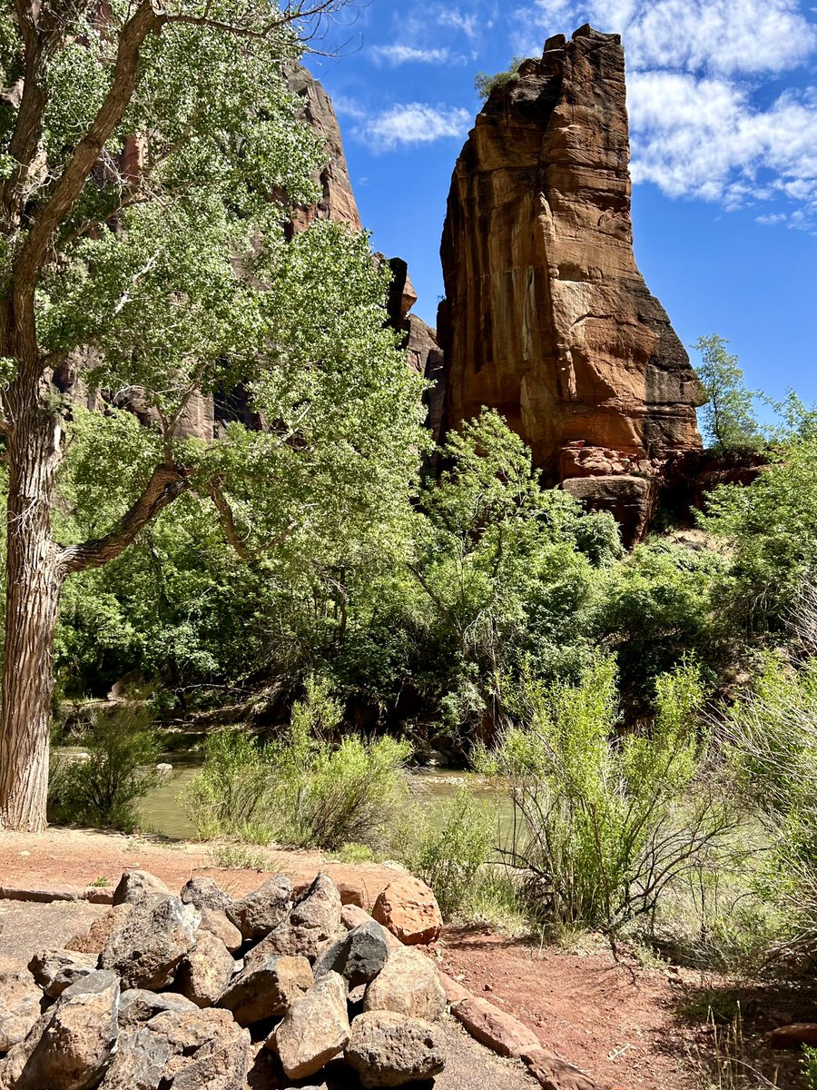 WalletTraveler's tweet photo. @TheSneakyLens Zion National Park https://t.co/0pGWGbvZgu