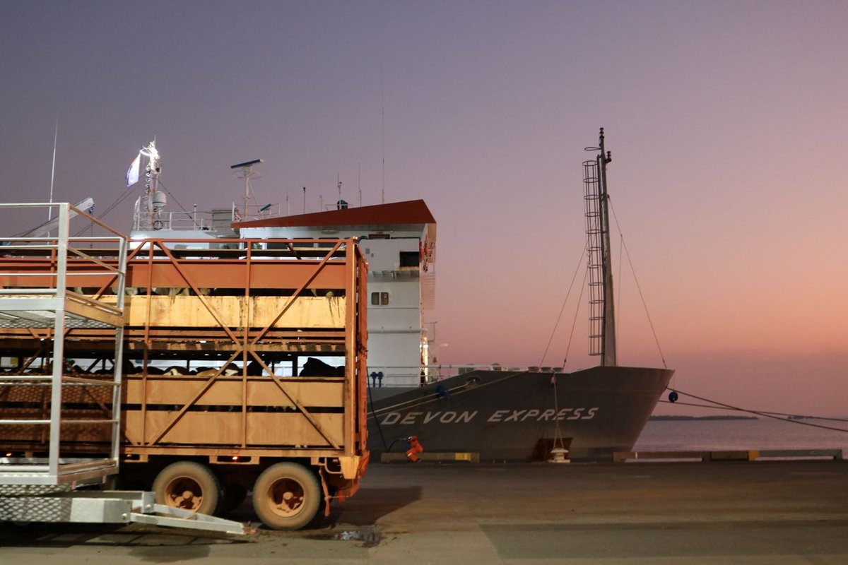 Tom Dawkins tweet media