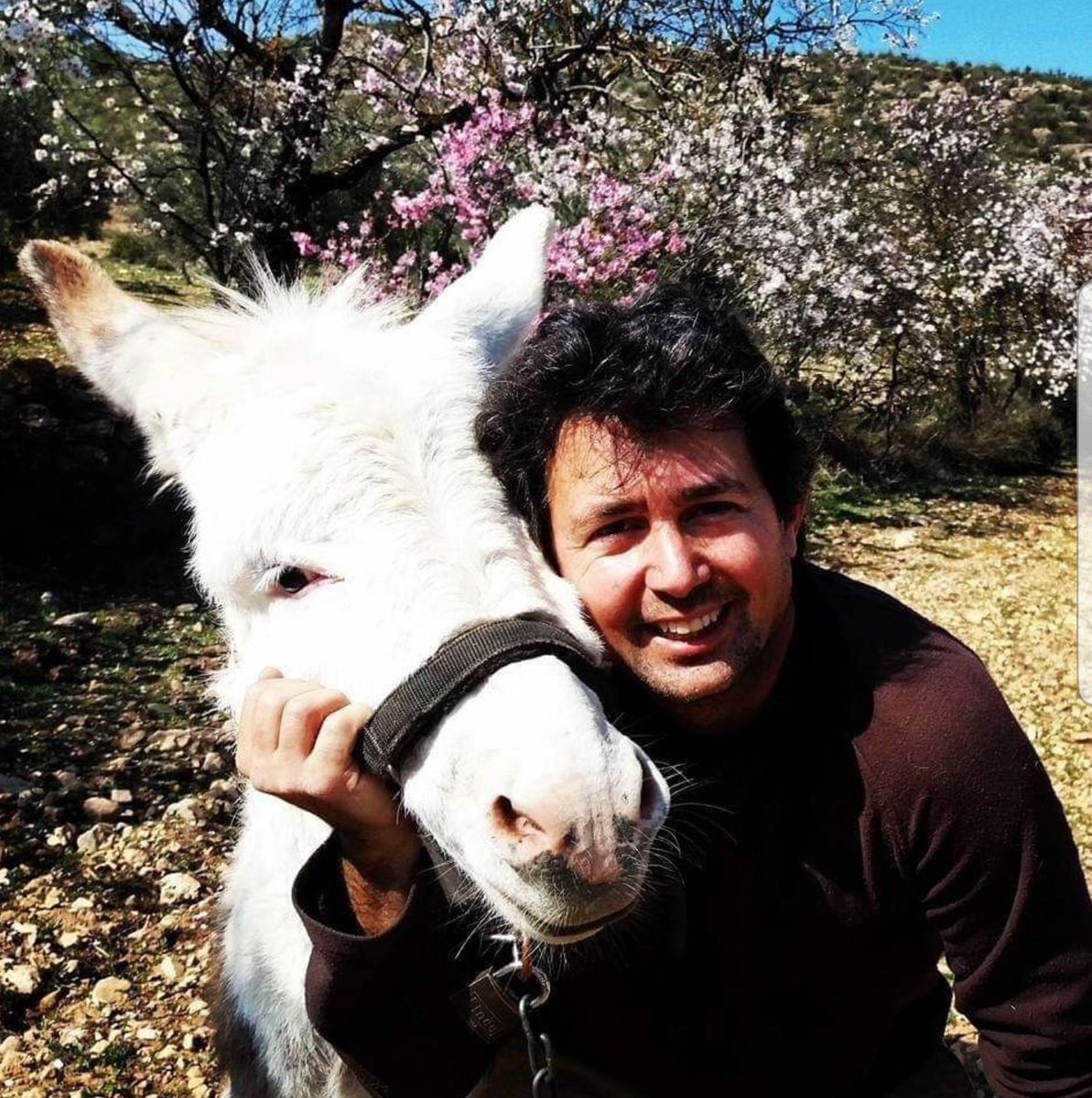 .<a href="/rapahuamusic/">Rapahua</a> se describe a si mismo:
"De formación musical autodidacta, me considero sobre todo alguien que hace canciones. 
Desde la adolescencia he formado parte de diferentes grupos y bandas entre el pop y el rock, como guitarrista o vocalista.