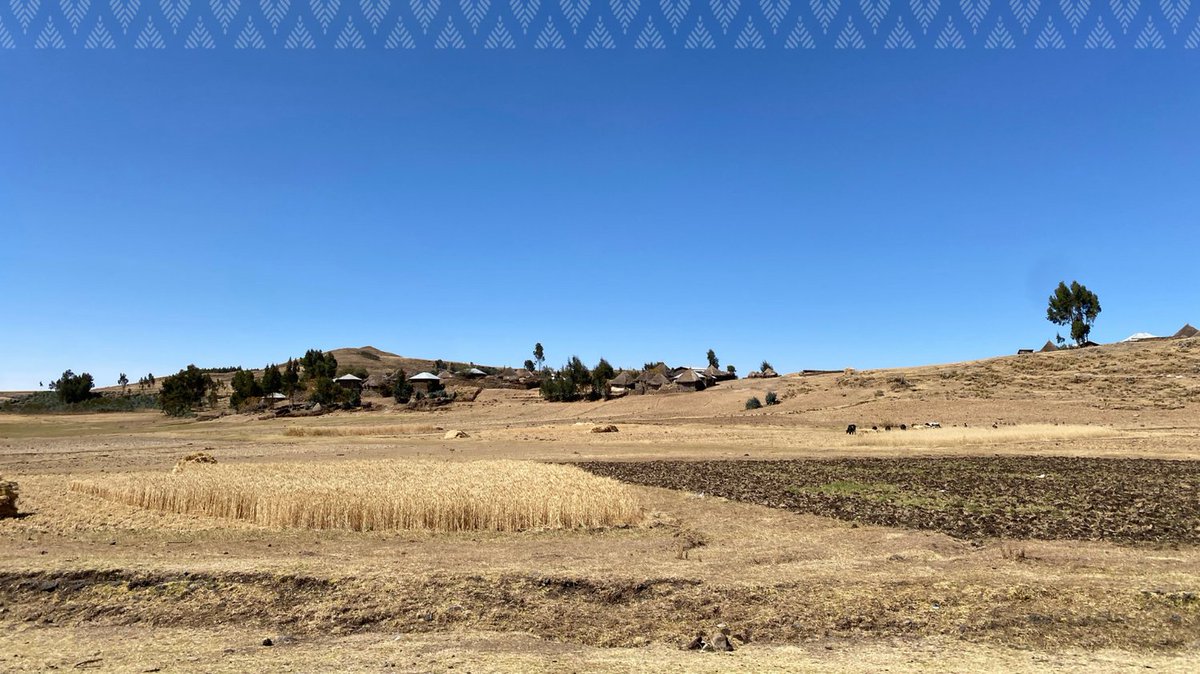 Safiya had to flee her home, with her newborn baby, when conflict started. 

She walked for 12 days, facing unimaginable dangers and witnessing unspeakable violence.  

Read her story here: ethiopiaid.org.uk/impact-story/s…

#displaced #Ethiopia