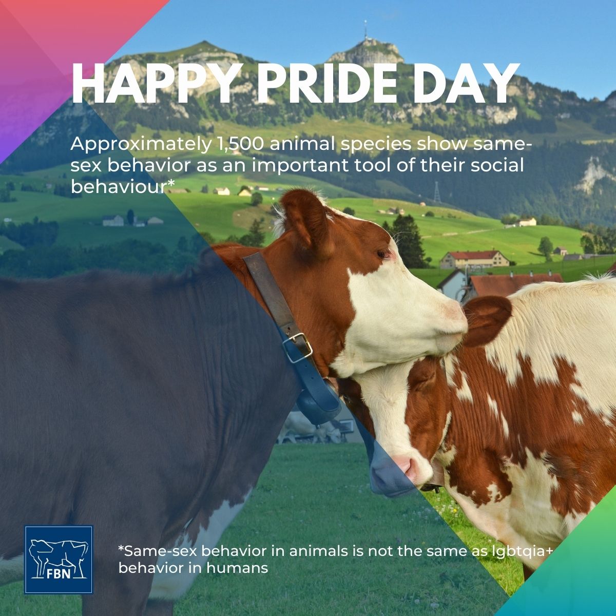 FBN Dummerstorf tweet media