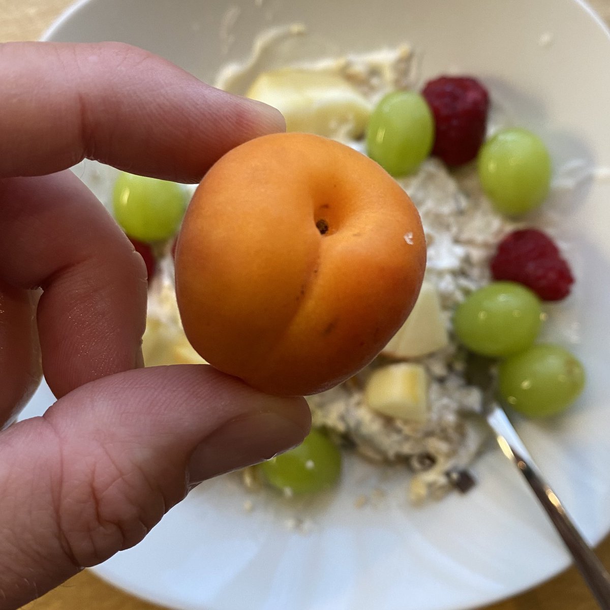 Carl_m101's tweet photo. Gm everyone ❤️

What is this fruit called in your language? https://t.co/f0r1mSDlCf