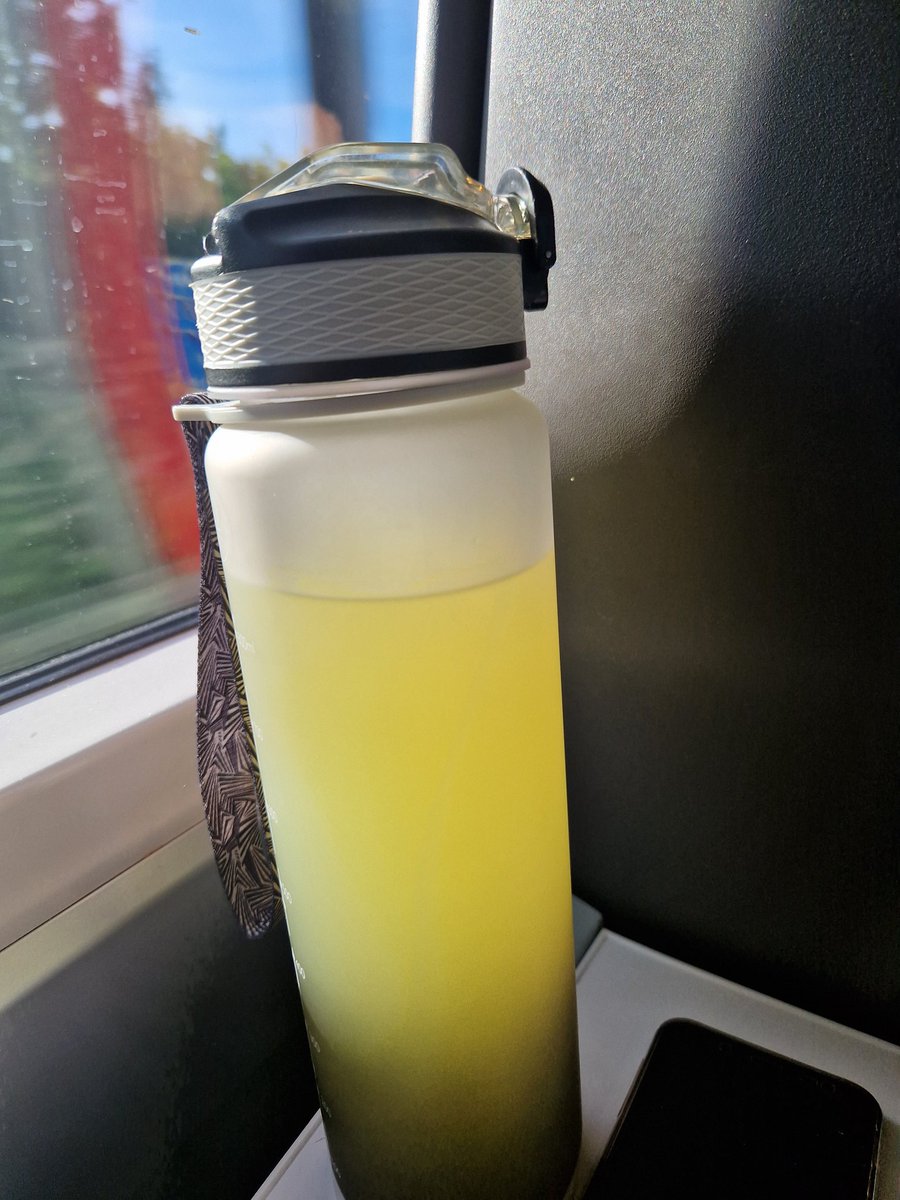 Beautiful morning for a 5.26am train to London for <a href="/BABICMorg/">BABICM</a> conference on #PDOC. Looking forward to a hood day!