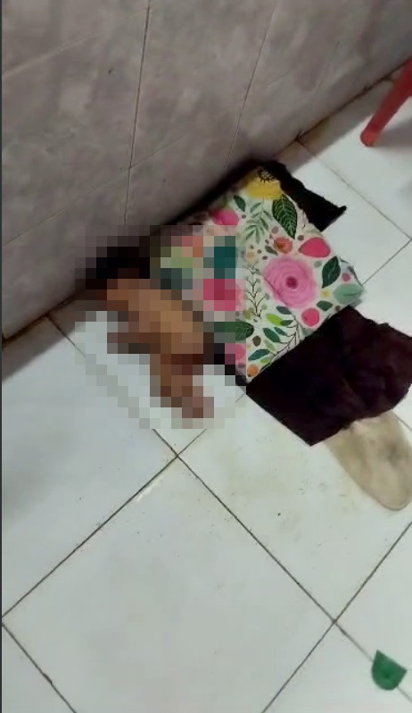 MySamudera's tweet photo. Tergamak, Bayi Baru Lahir Dibuang Di Gerai Ayam..

“Sewaktu mahu menurunkan bekalan ayam dari lori, saya ternampak objek pelik di atas lantai kedai saya.." - Pemilik Gerai https://t.co/jOS8oOa4l7