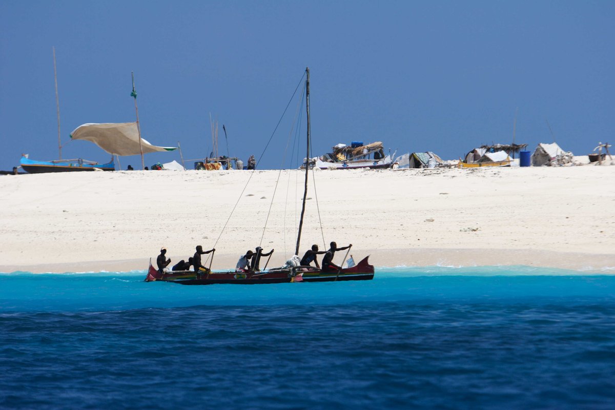 How can coastal communities document changes in the marine ecosystem and highlight their challenges?

Voices of the Vezo empowers Vezo communities in #Madagascar to tell their stories and advocate for their needs through film.

Watch here 👀 👉 loom.ly/OvmSEXI