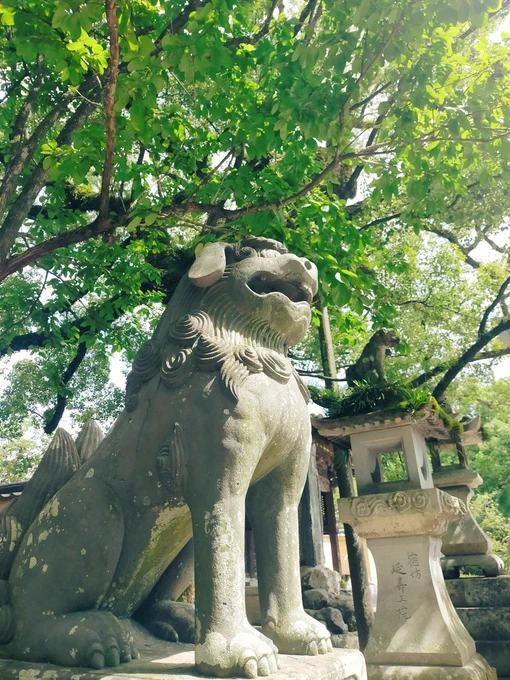 改修中の本殿とかサギとか 