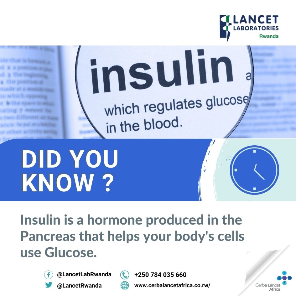 CLRwanda's tweet photo. Chronic diseases or non communicable disease can be prevented by focusing on healthy habits with regular health checkups.
Contact us today on:+250 252 582 901/ 784 035 660 or send us an email at info@lancet.co.rw
#wellnessscreening
#vital
#diabetes https://t.co/9GoeoYHyVZ