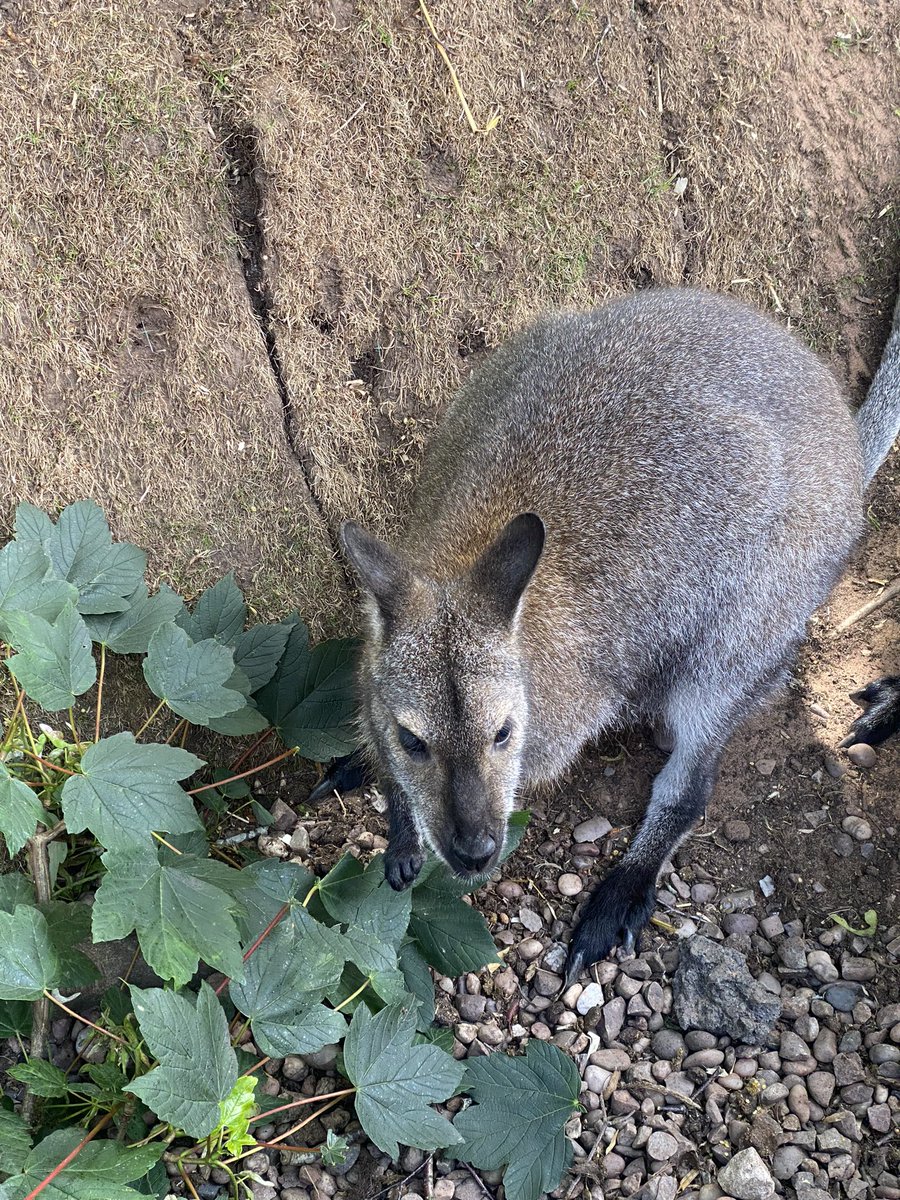 Mrs Hickman tweet media