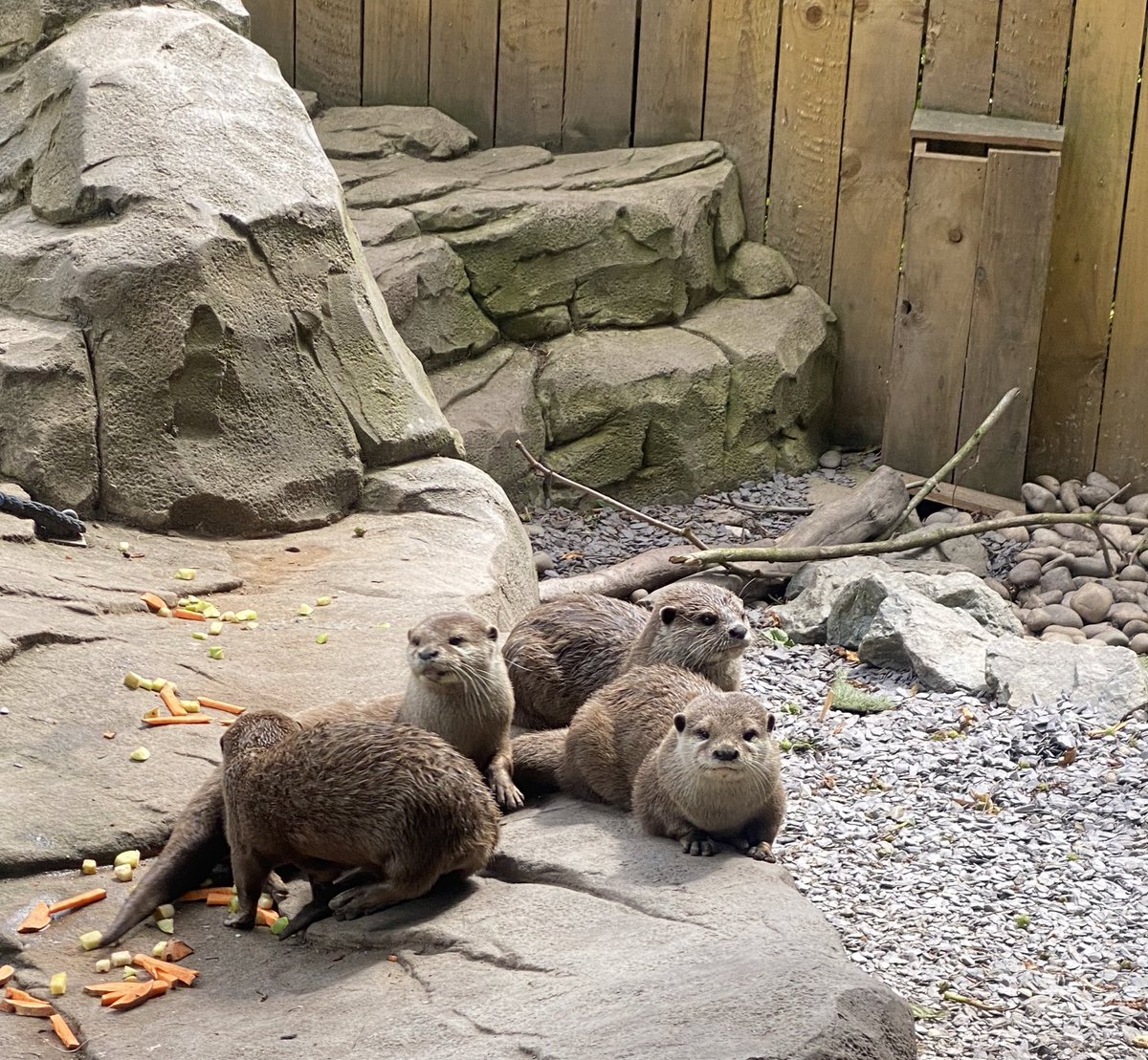 Mrs Hickman tweet media