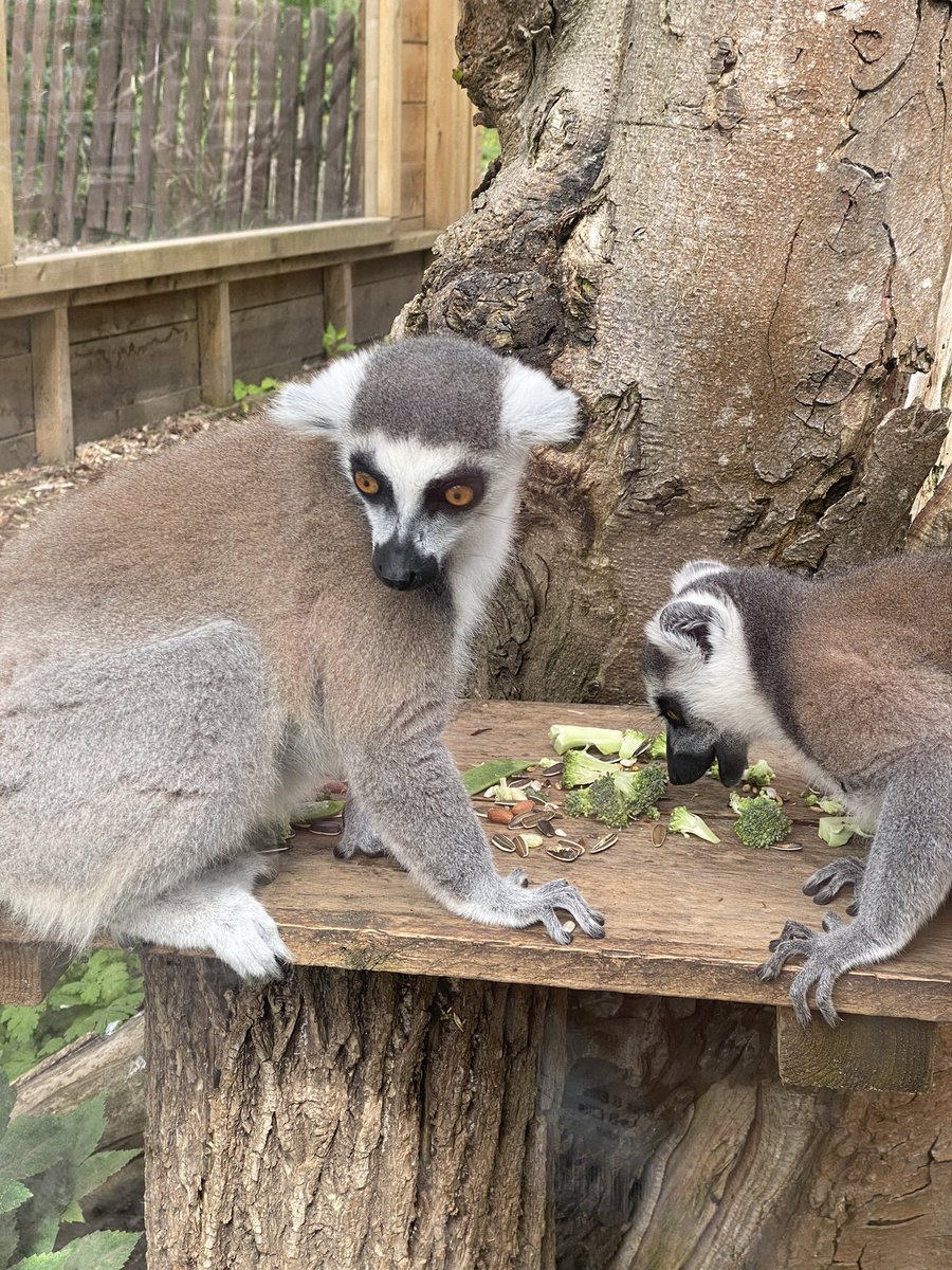 Mrs Hickman tweet media