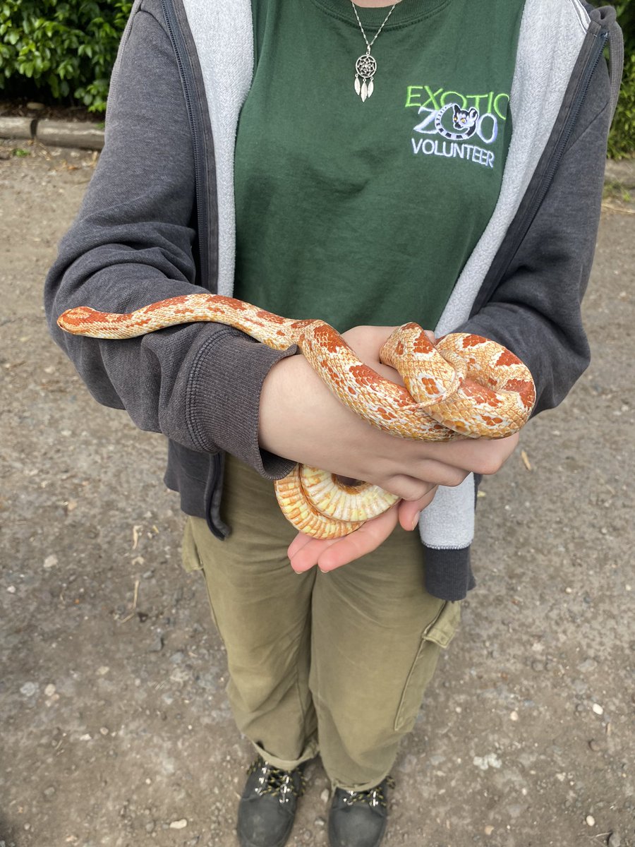 Mrs Hickman tweet media