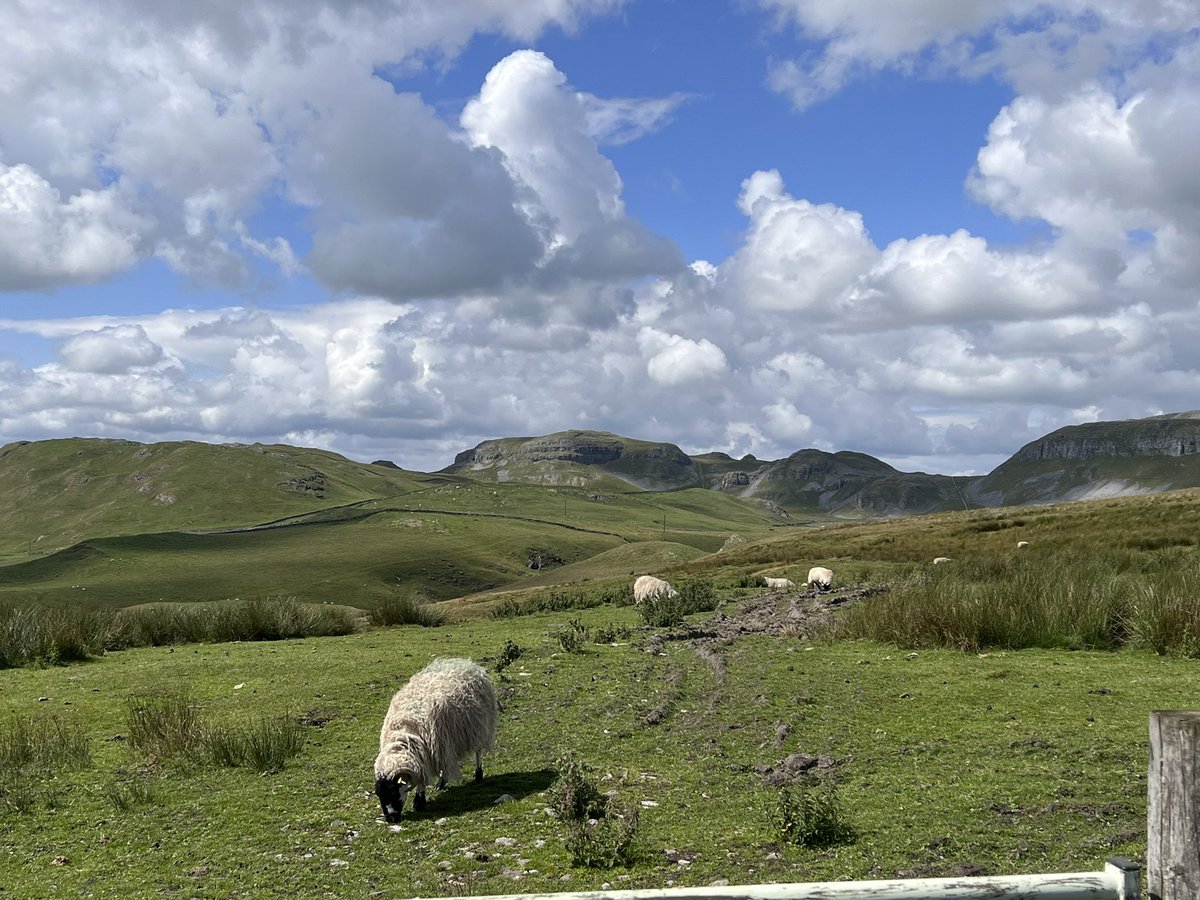 A lovely day in Yorkshire