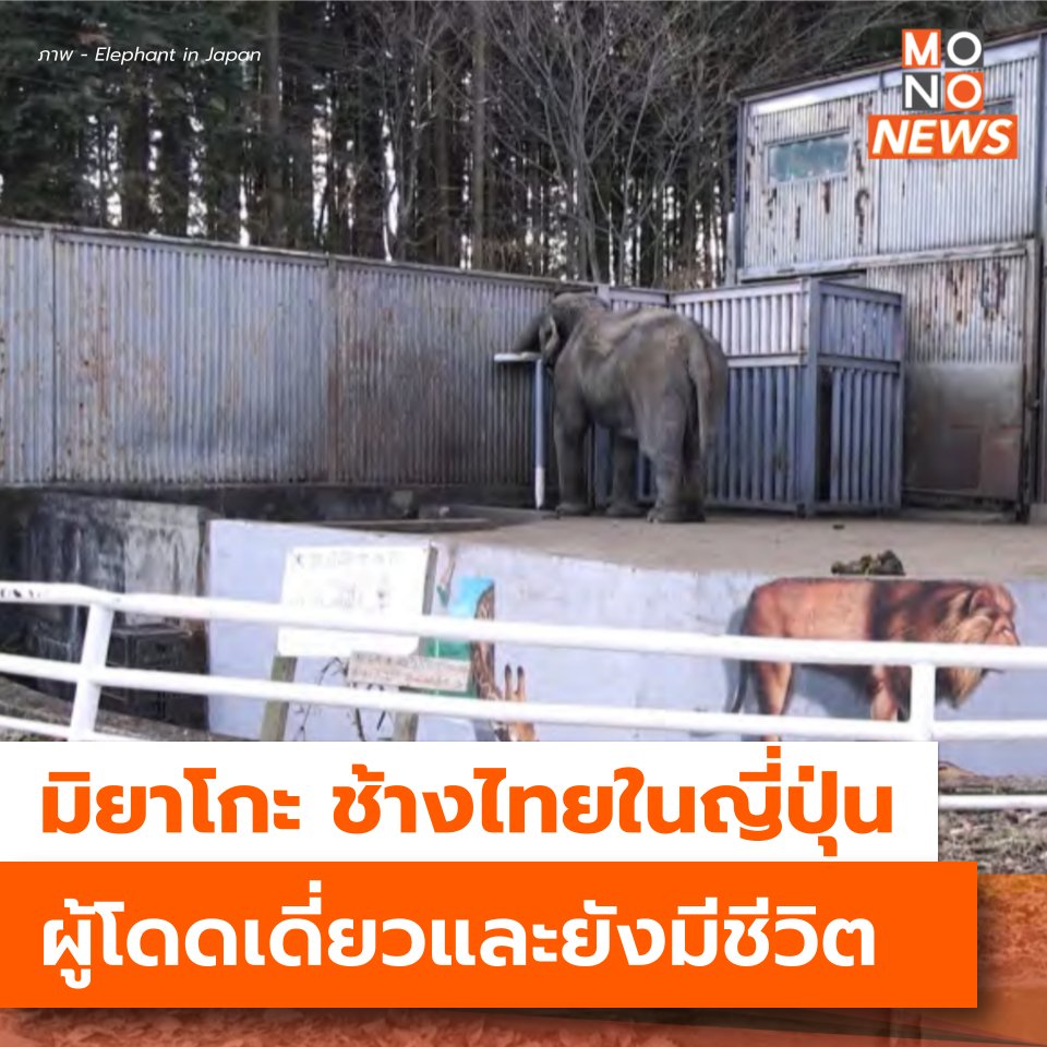 Mono News tweet media