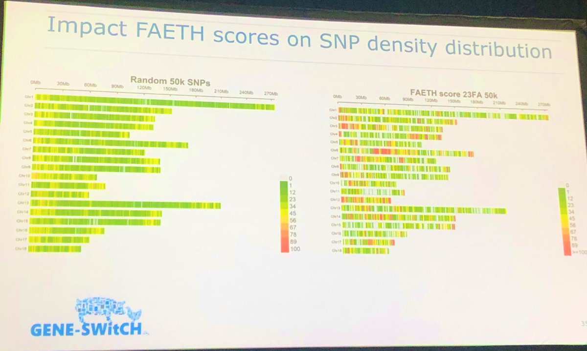 What a nice visual for functional annotation of #genomes - #isag2023 <a href="/mariocalus/">Mario Calus</a>