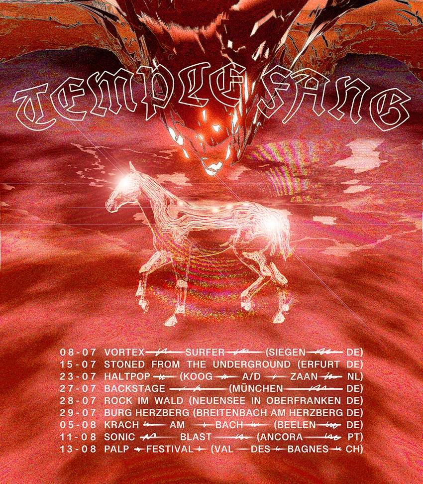 Temple Fang tweet media