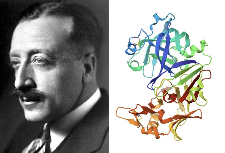 allozymes_'s tweet photo. Today, we celebrate the birth anniversary of John Northrop, who won the 1946 #Nobel Prize in #Chemistry. He purified #pepsin &amp; revealed that #enzymes were indeed a class of #proteins! 💡

Inspired by his legacy, we commit to driving future innovation in enzyme #engineering. 🚀 https://t.co/8SQY5RZ0R6