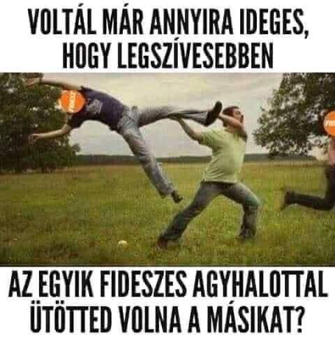 AndanViktor tweet media