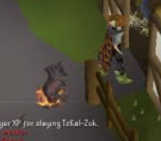 xstatsgg's tweet photo. @JagexAsh @sophieexfn We already have the top half of a mermaid pet https://t.co/SrbcN99WYH