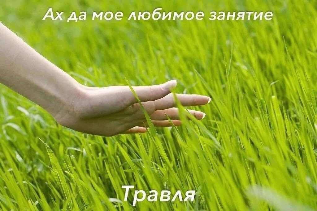 ты читаешь надю еву-01 🪿 (@nadyaevangelion) on Twitter photo 