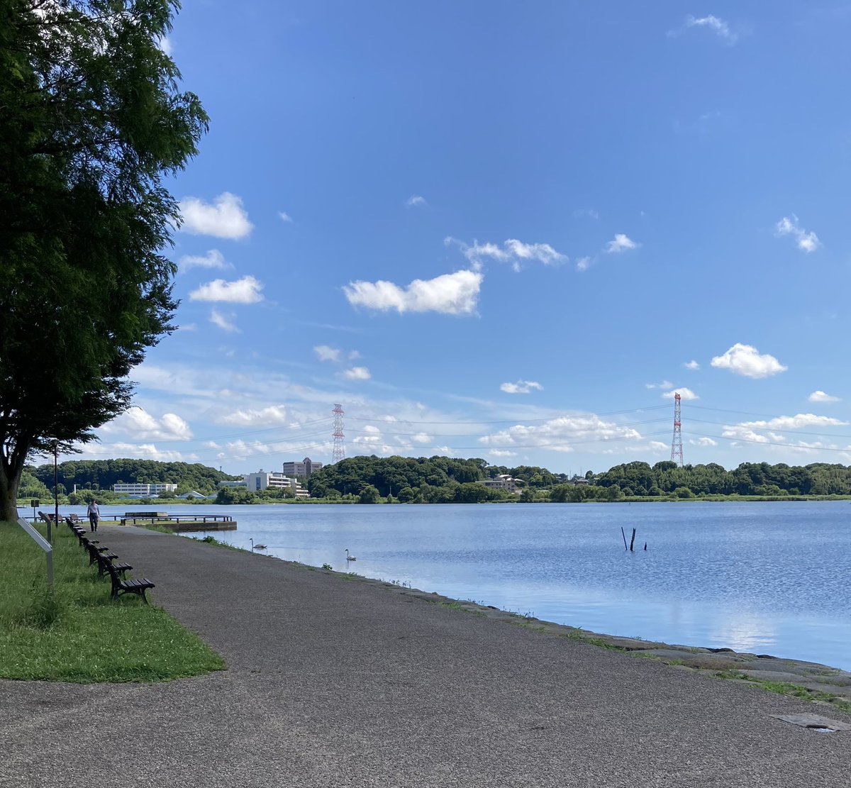 マンガのネタを口実に、水辺へ🪿 https://t.co/59vaoFEhBT