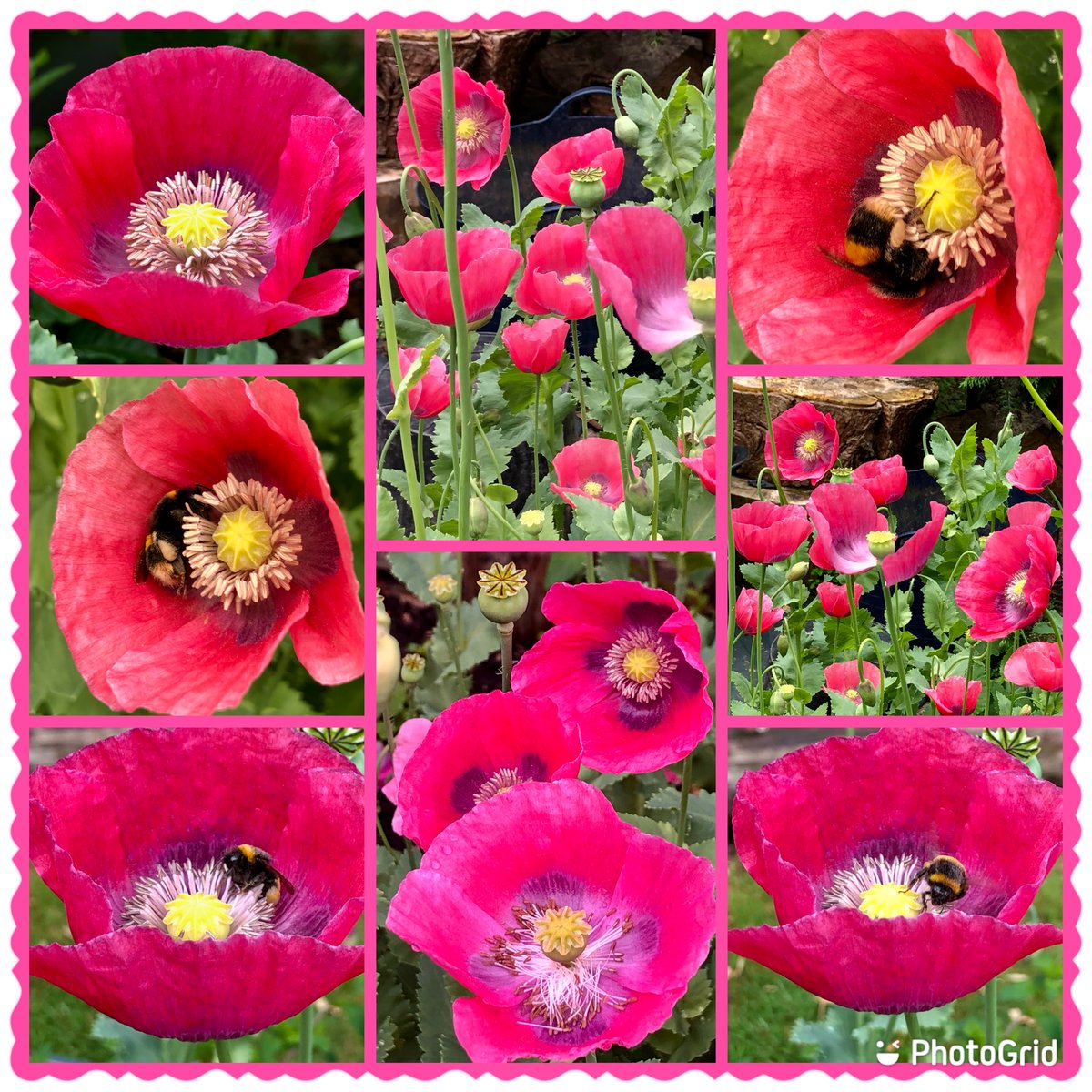 🌱Susiekeane4 tweet media