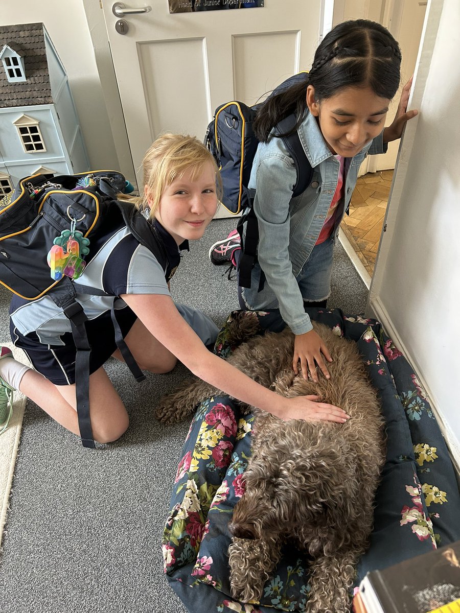 And she’s in! First cuddle of the day from <a href="/yr6bhs/">Year 6 BHS</a> <a href="/BlackheathHigh/">Blackheath High School GDST</a> @GDST