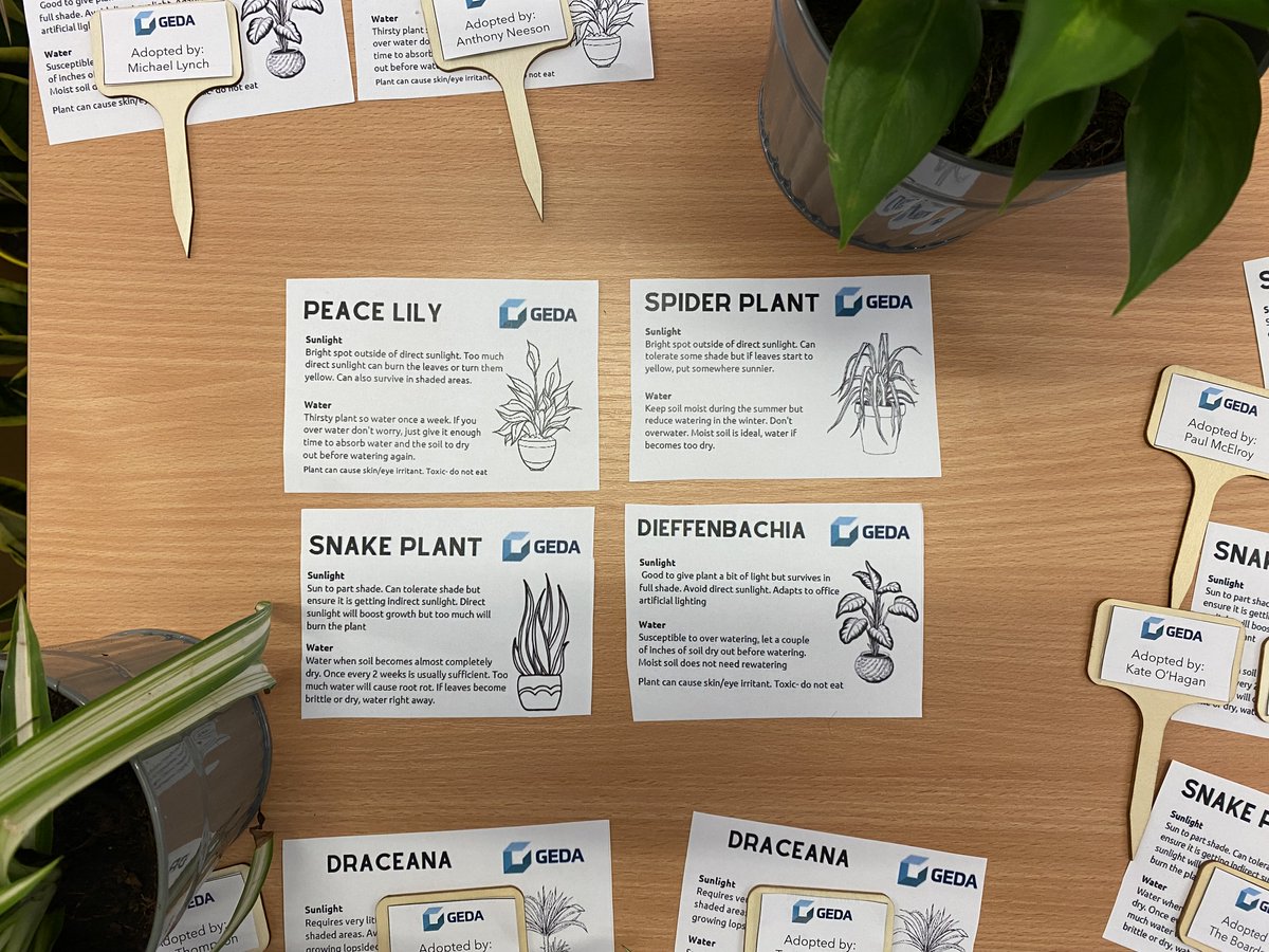 Geda_Const's tweet image. We have added a splash of green into our office spaces and site huts with some new desk-friendly plants. Our employees are very pleased with the new additions to their desks, especially our Environmental Officer, Sarah!

#ThinkCreative #ThinkGEDA #EmbraceBiodiversity
