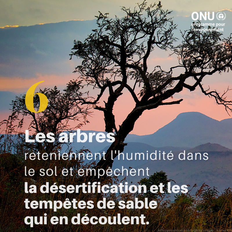 UNEP_Francais's tweet photo. Voici six façons dont la nature peut nous protéger du changement climatique.