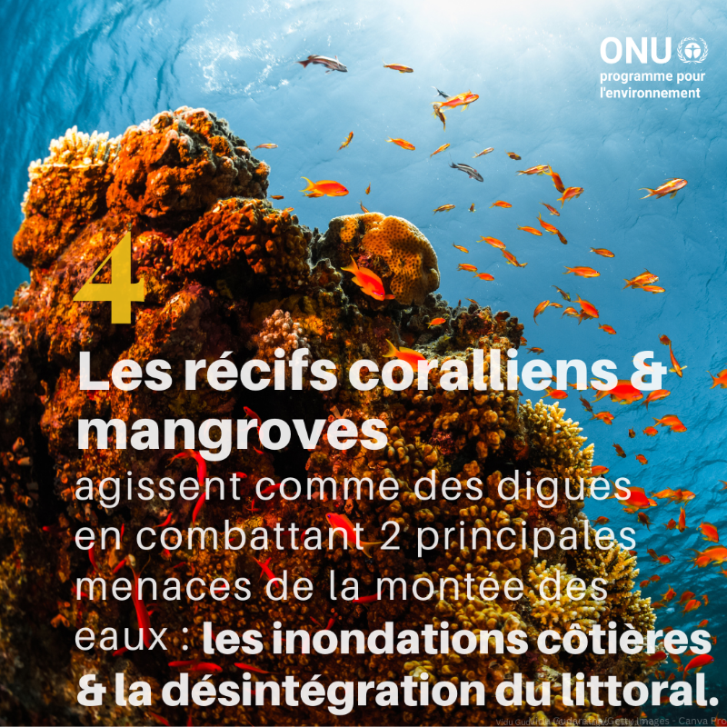 UNEP_Francais's tweet photo. Voici six façons dont la nature peut nous protéger du changement climatique.