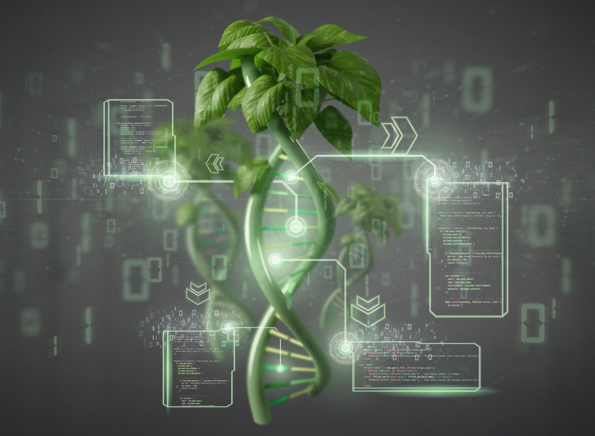 Fruchthandel Magazin tweet media