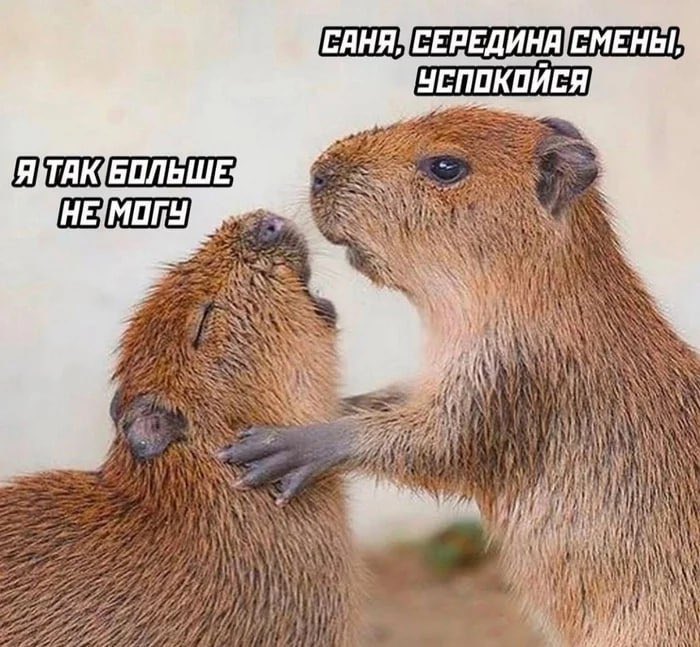karasevsky's tweet photo. @sashaobnyal впн не дал мне скинуть этот сразу https://t.co/8T6c9QYLZA