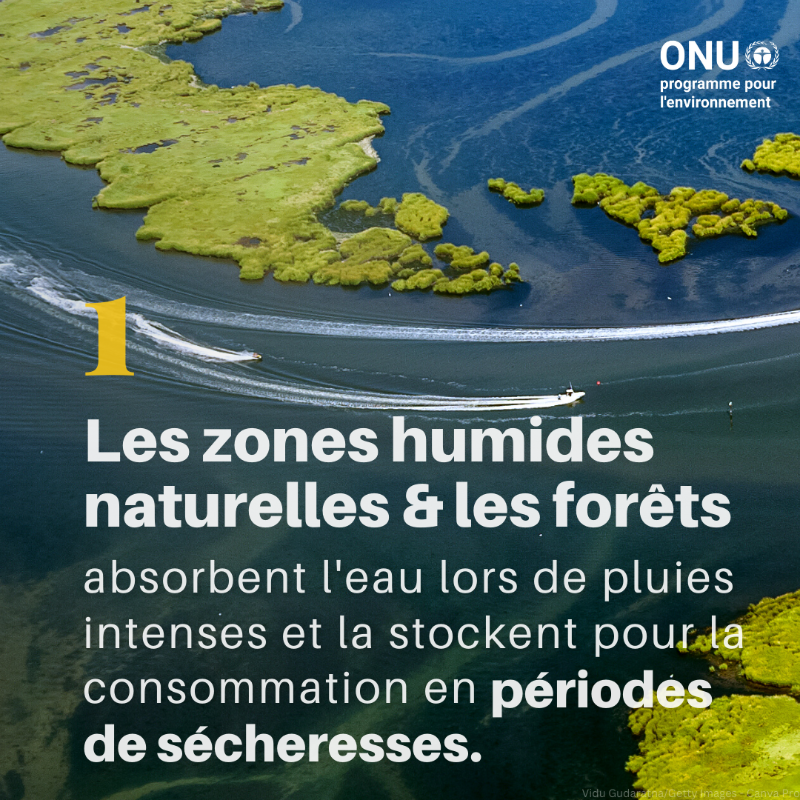 UNEP_Francais's tweet photo. Voici six façons dont la nature peut nous protéger du changement climatique.