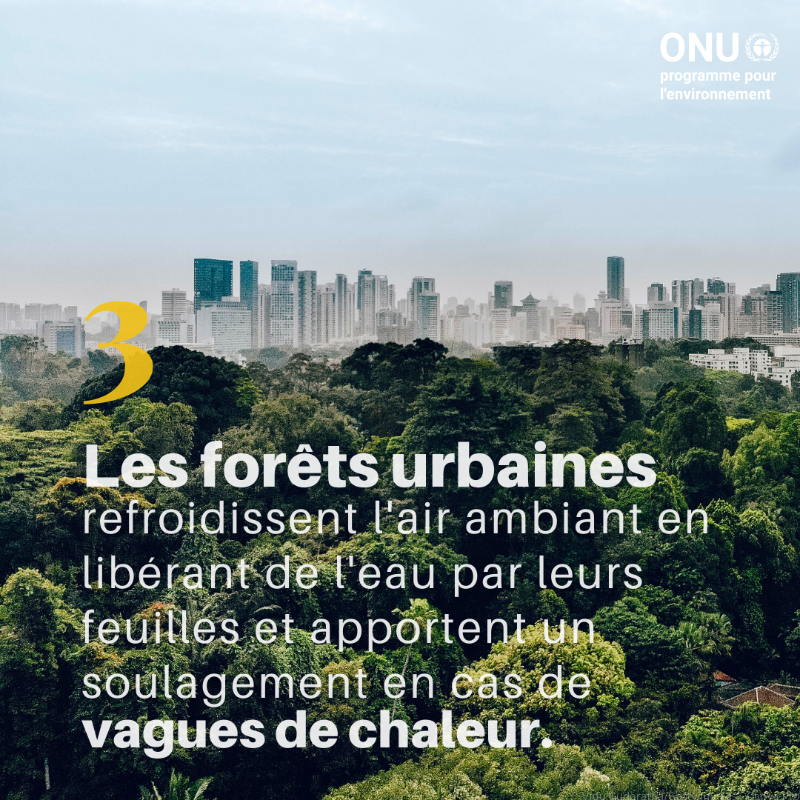 UNEP_Francais's tweet photo. Voici six façons dont la nature peut nous protéger du changement climatique.