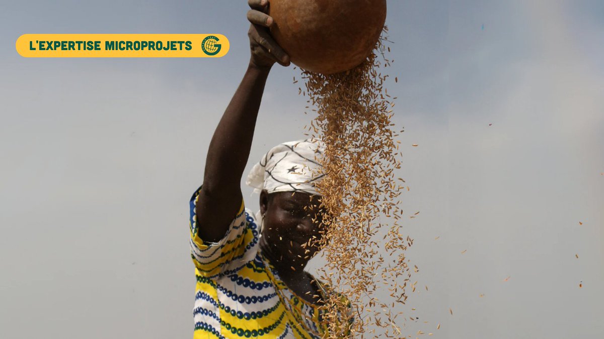 🌍 17 pays▸41 #microprojets ▸ 355k €▸avec l'<a href="/AFD_France/">Agence Française de #Développement (AFD) 🇫🇷 🇪🇺</a> : plus loin, au plus près.

⚡ Résultats - appel à projet Printemps 2023

✅ Éducation, agriculture, santé, accès à l’eau potable et autres thématiques 

➡️ la-guilde.org/actualites/lau…

#solidaritéinternationale