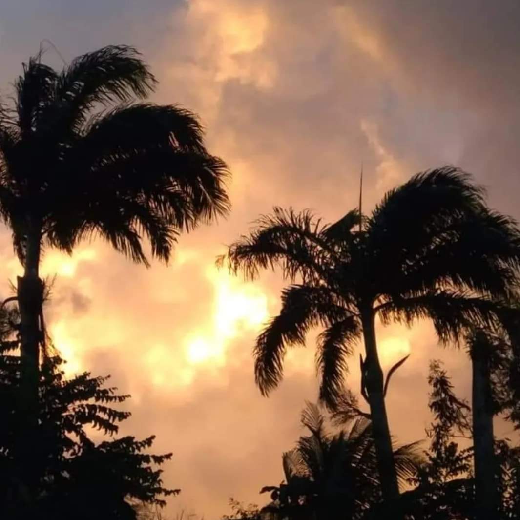 Eu aprendi que não posso parar, devo remar e remar sempre. O nascer do sol dirá qual a direção seguir e eu não devo jamais me preocupar. O meu destino já está traçado, basta que eu o encare e queira aprender, identificar os sinais e evoluir constantemente.

#djchocolate 
#BomDia