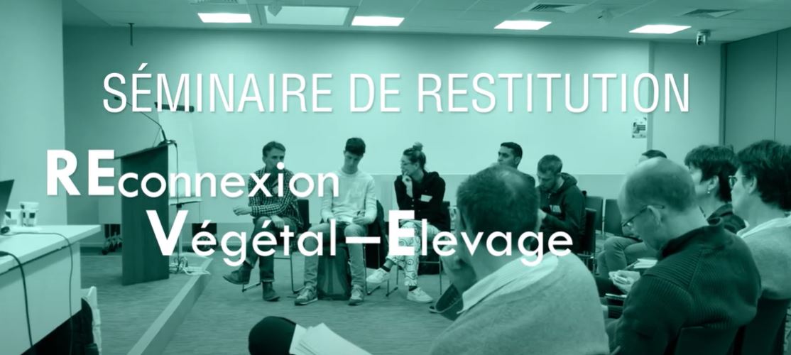 Les #reconnexions #cultures - #élevages 🐑🌱, ça vous parle ? Gentiane Maillet, chargée de mission inter-GIS, nous présente leurs bénéfices en quelques mots dans le cadre du séminaire final de restitution de la mission portant sur le sujet : 
▶️ youtube.com/watch?v=wZMUKh…