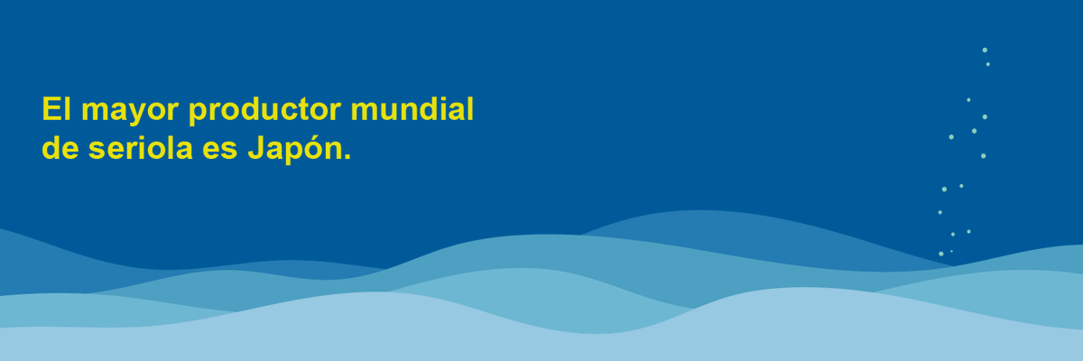 PLANASER 2.0 tweet media