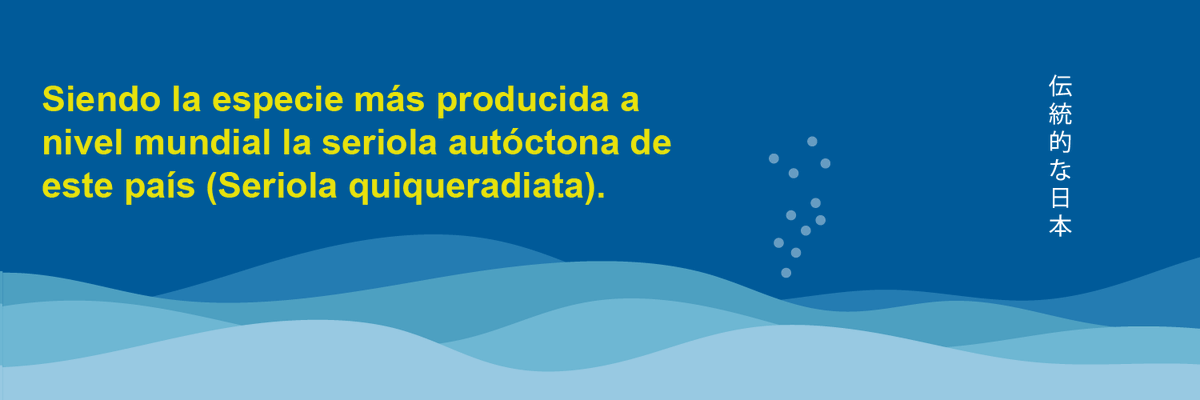 PLANASER 2.0 tweet media