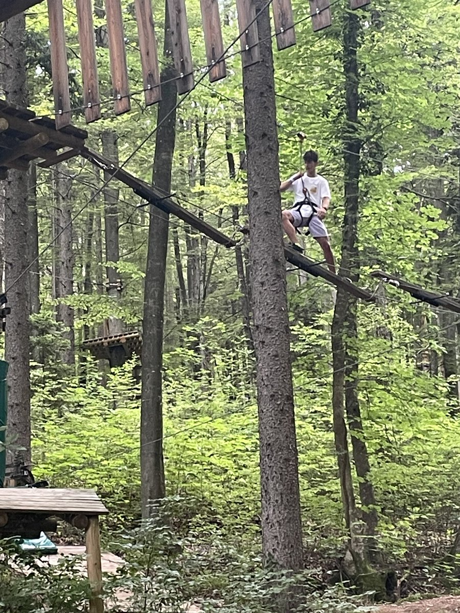 BeeCraftMag's tweet photo. #imyb competition over, fun in the trees https://t.co/kEXLDu7rhf