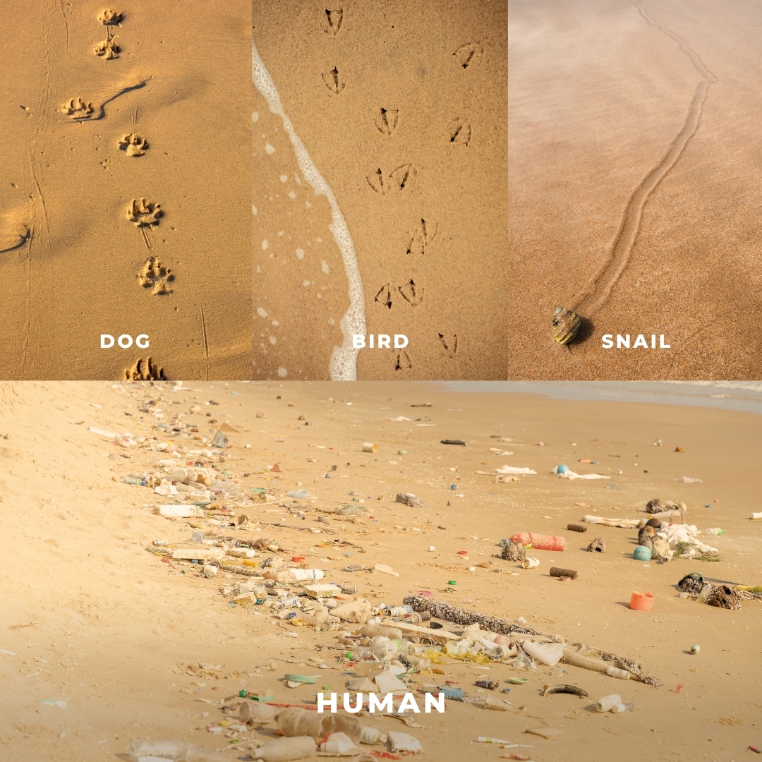 Lewis Pugh Foundation tweet media