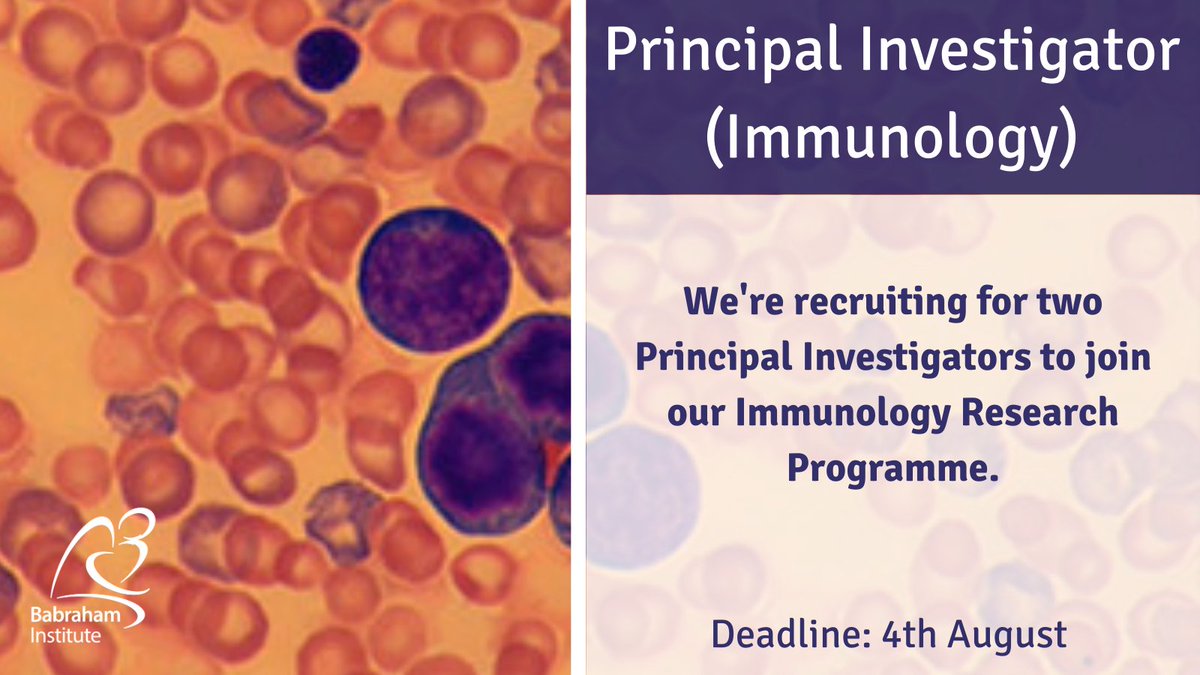 Babraham Institute (@babrahaminst) on Twitter photo VACANCY: Principal Investigator Immunology
We're looking for two Principal Investigators to strengthen our current Immunology research programme and bring new conceptual and technological innovations to the Institute.
Deadline: 4th August
babrahaminstitute.livevacancies.co.uk/#/job/details/… #ScienceJobs VACANCY: Principal Investigator Immunology
We're looking for two Principal Investigators to strengthen our current Immunology research programme and bring new conceptual and technological innovations to the Institute.
Deadline: 4th August
babrahaminstitute.livevacancies.co.uk/#/job/details/… #ScienceJobs