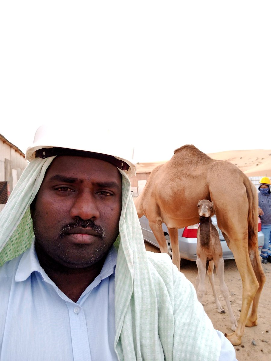 Mathan (@mathank22183999) on Twitter photo 