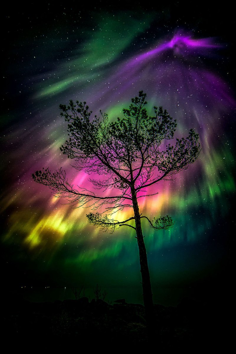 Amazing Night in Amasolo ,Finland by Jari Jhonsson #NorthernLights