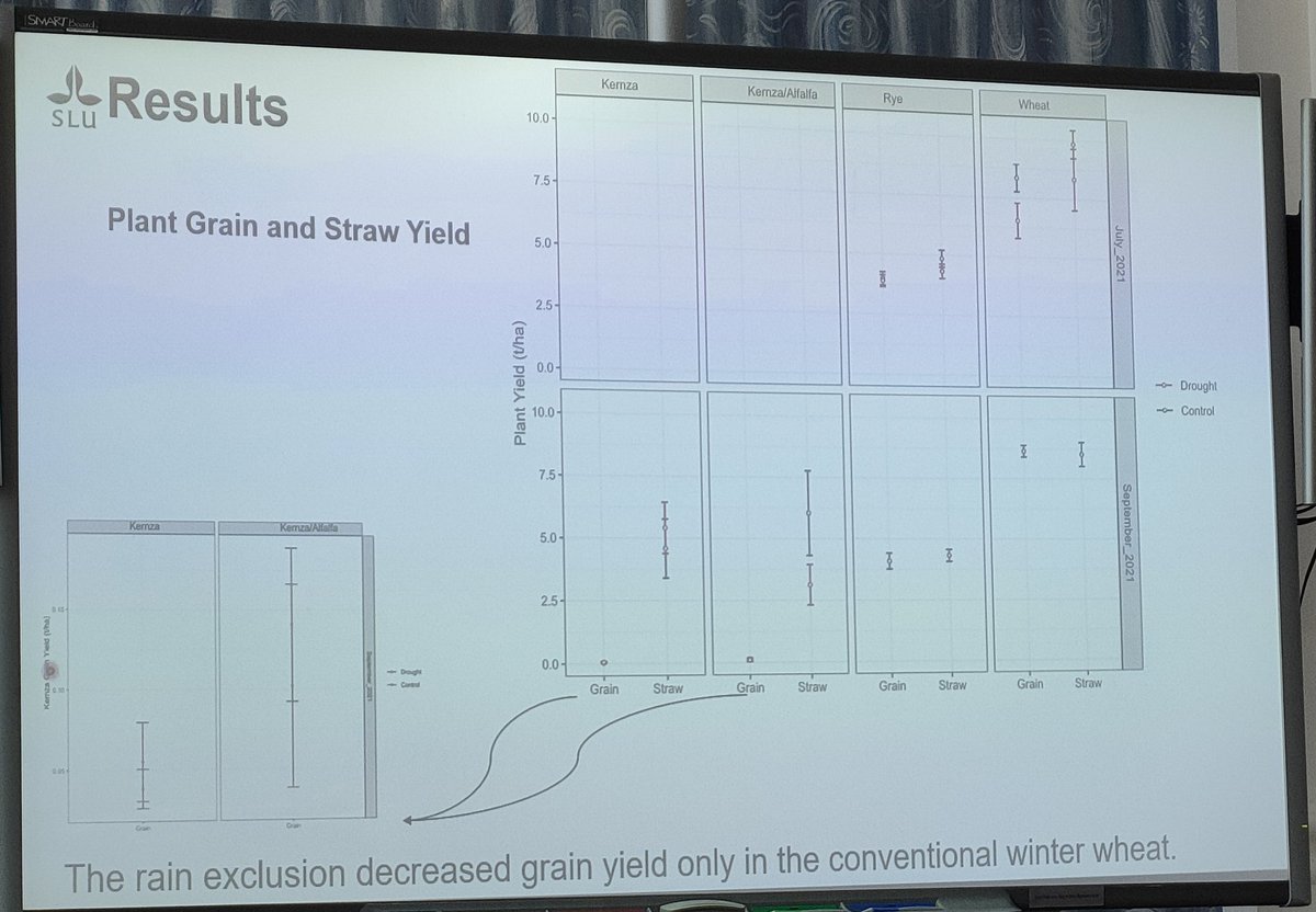 naperdiv's tweet photo. WP3 continues with their effect on rain exclusion on the yield, among other parameters. Interestingly, #kernza yield does not seem to be affected by drought compared to annual #wheat https://t.co/h6BzqQMegG