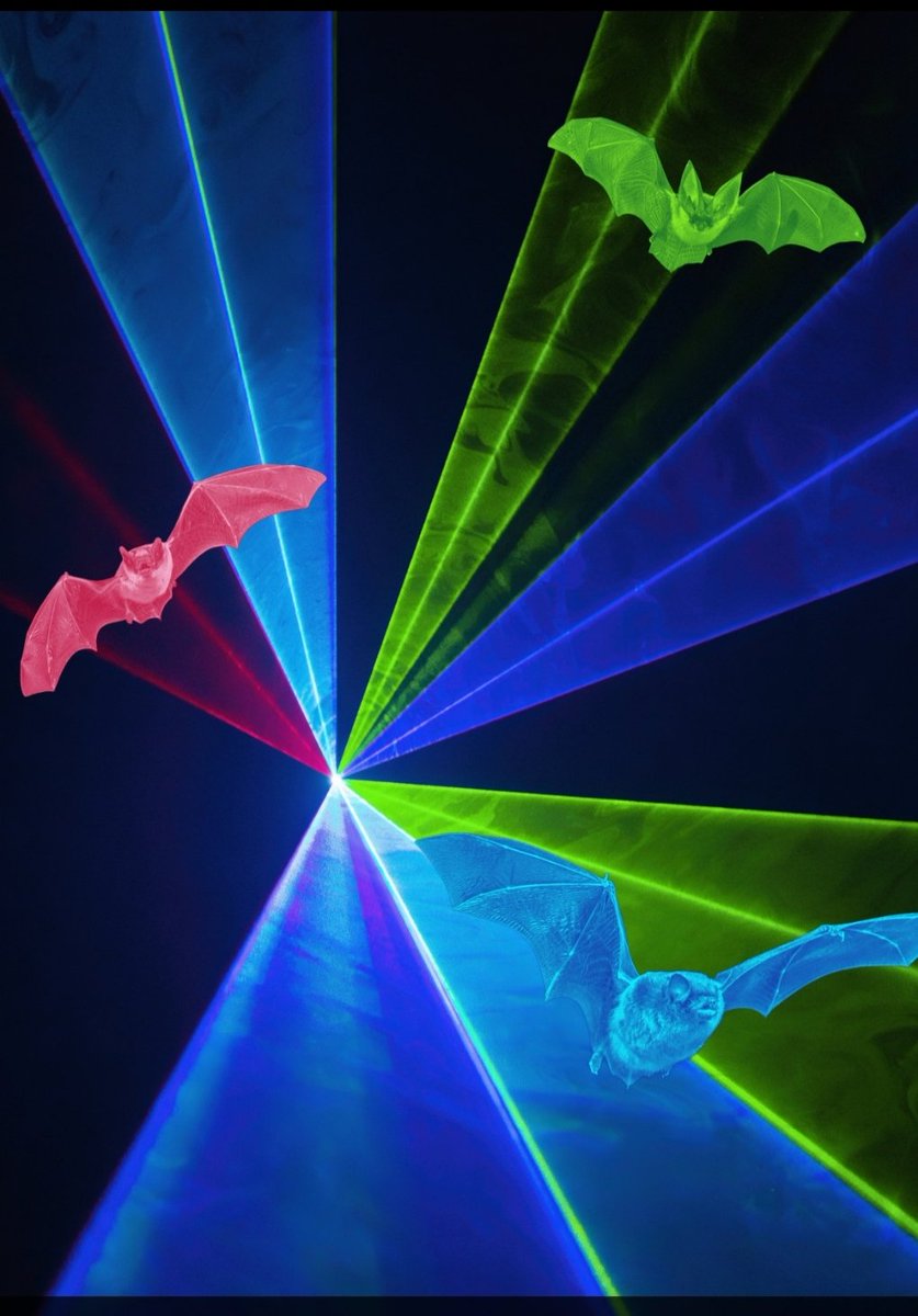 Great to see our work published in <a href="/AER_ESE_BES/">Applied Ecol. Resources|Ecol. Solutions & Evidence</a> on the impacts of music festivals on #bats 🦇

Whilst you are out enjoying the music this summer, spare a thought for our native fauna who often have to endure these increasingly commonplace events.

📰 bit.ly/3CEmuPR