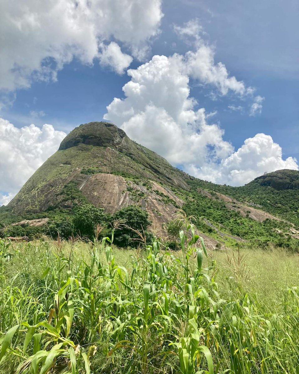 Today Malawi celebrates 59 Years of Independence! We have been lucky enough to have been working to conserve bats in Malawi for 11 of those years. We wish all Malawians a joyful and prosperous journey ahead and look forward to the next 59 years! 
#IndependenceDay #GlobalSouth