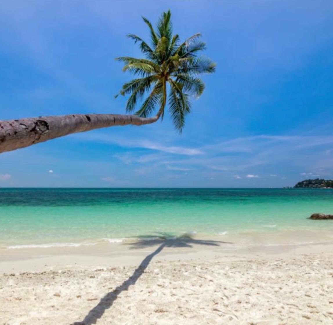 nirwanabintan's tweet photo. One of our top 3 instagrammable spots in Nirwana Gardens. 
Can you spot it? ☺️ We look forward to seeing your best moments captured here! Tag us at @nirwanabintan for a chance to be reposted on our official page! 
#bintan #nirwanabintan #instatravel #beachholiday #nirwanagardens https://t.co/o2uC8SSyai