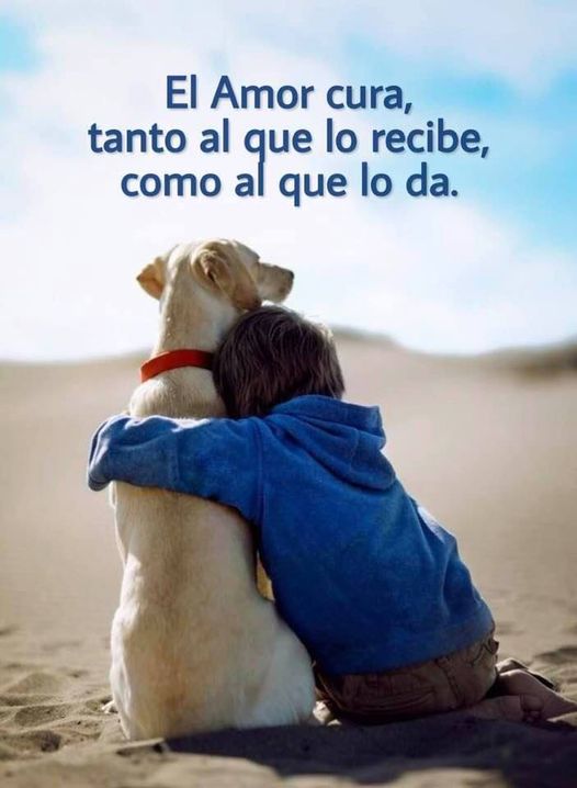 VicenteLaparra's tweet photo. El amor... https://t.co/XufvTjSLGr